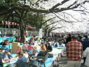 Hanami