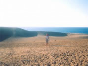 Tottori desert