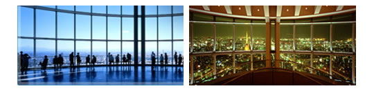 Roppongi Hills Tokyo City View